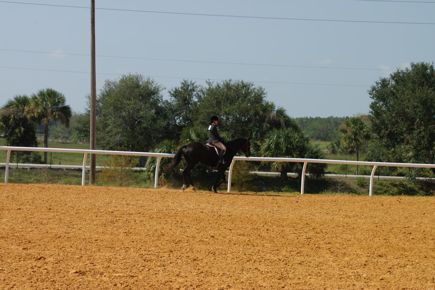 IMGP0102