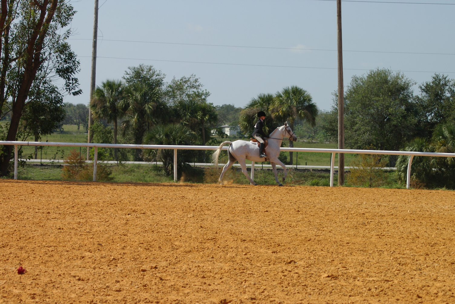 IMGP0104