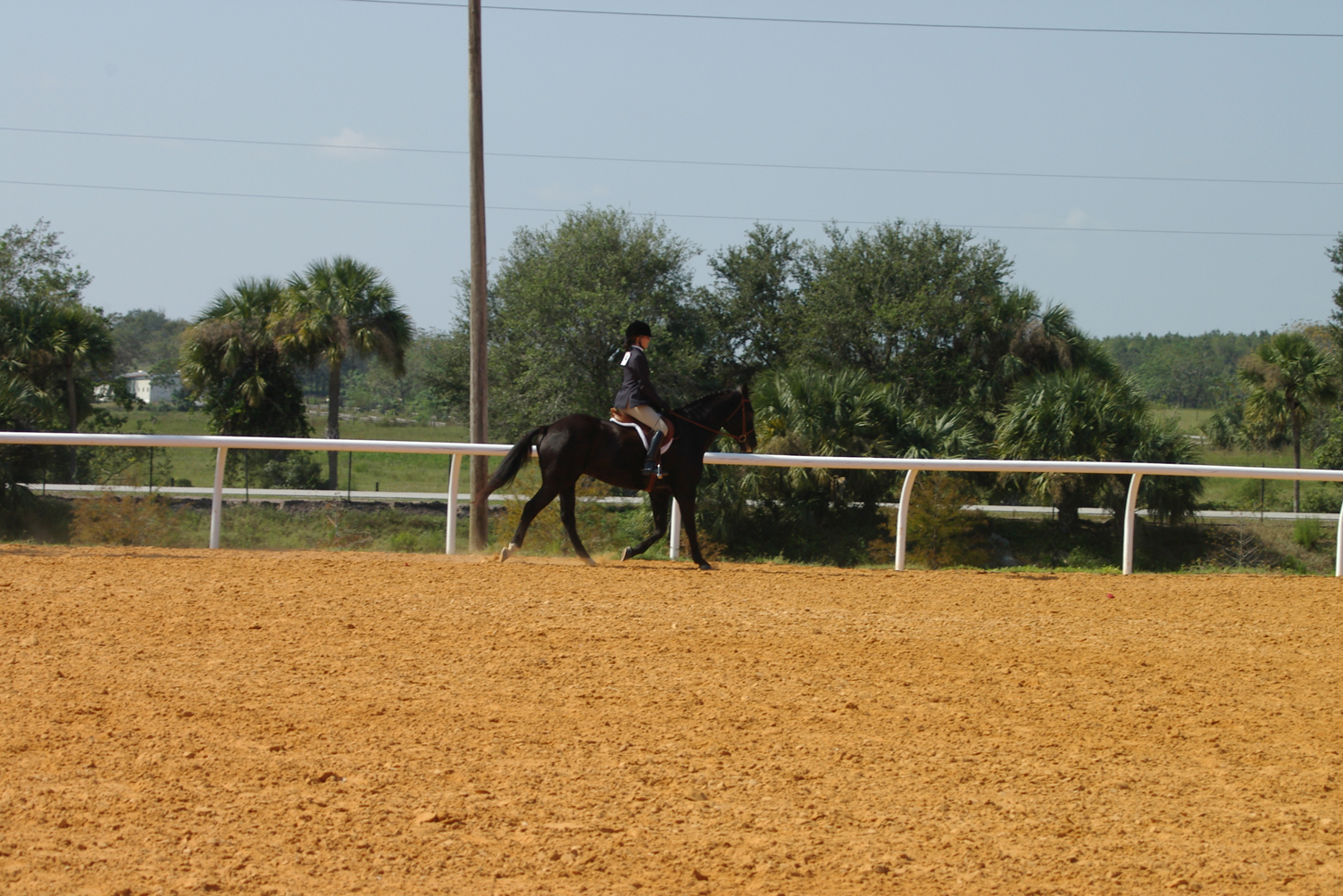IMGP0106