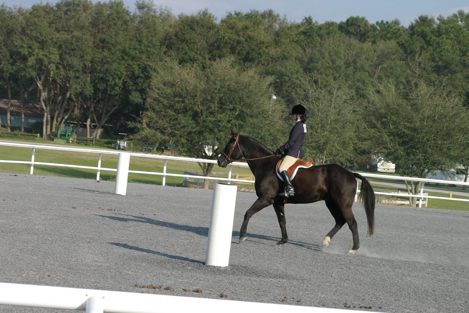 IMGP0127