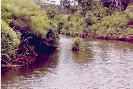 heron08