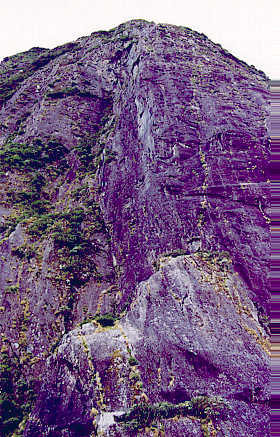 milford54