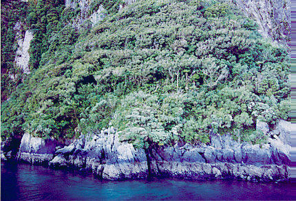 milford55