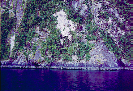 milford56