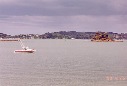 paihia1