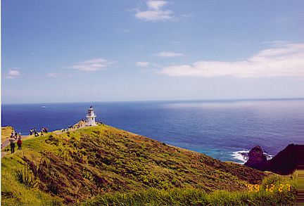 reinga19