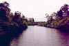 heron04