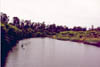 heron07