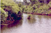 heron08