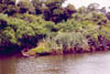 heron10