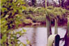 heron11