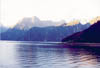milford40