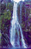 milford61