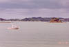 paihia1