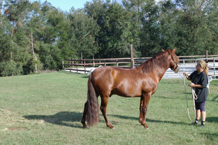 IMGP0135