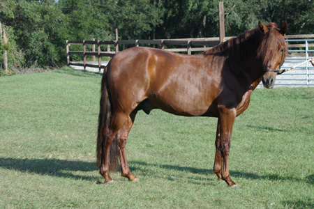 IMGP0140