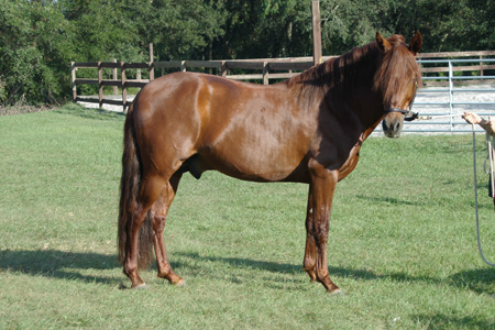 IMGP0141