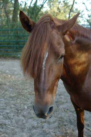 IMGP0152