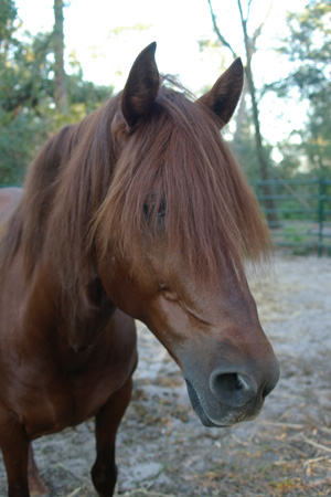 IMGP0154