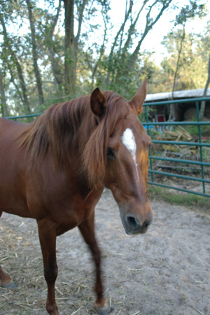 IMGP0160