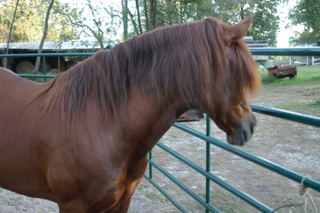 IMGP0161