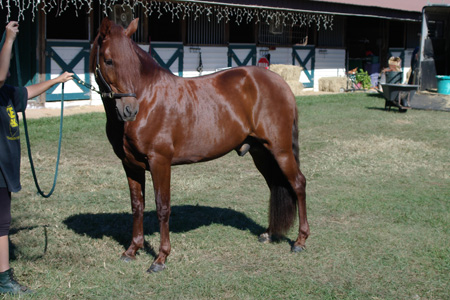 IMGP0164