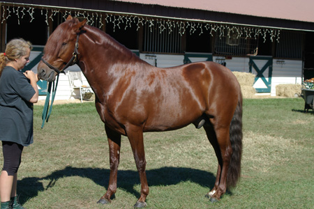 IMGP0166