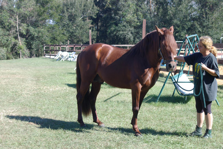 IMGP0174