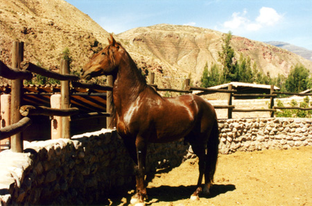 pc02