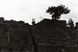 11t00011