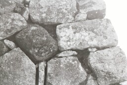 11t00021
